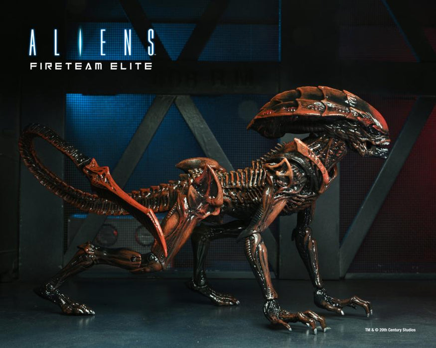 Aliens: Fireteam Elite Prowler Alien Action Figure - Action & Toy Figures -  Neca