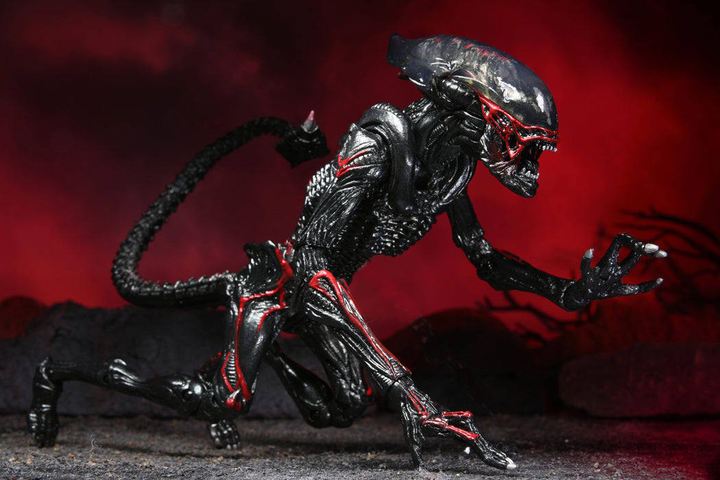 Alien  Night Cougar Kenner Tribute Ultimate (preorder) - Action figure -  Neca