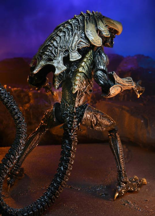 Alien vs. Predator Chrysalis (Movie Deco) Figure (preorder) - Action & Toy Figures -  neca