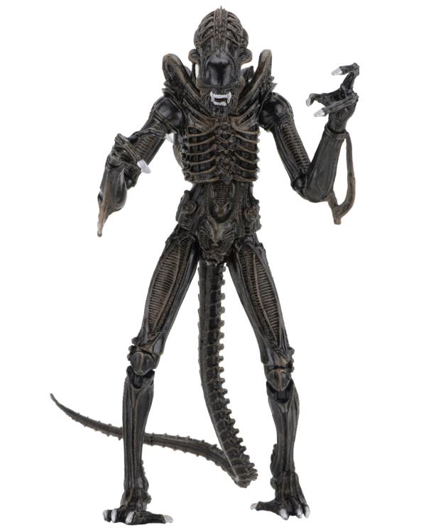 SF・ファンタジー・ホラー NECA Alien warrior ULTIMATE EDITION SF・ファンタジー・ホラー NECA Alien warrior ULTIMATE EDITION