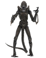 Neca - Aliens Ultimate Warrior - Collectables > Action Figures > toys -  Neca