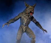 The Howling Ultimate Werewolf Action Figure (preorder Q4 2025) - Collectables > Action Figures > toys -  Neca