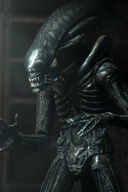 Neca - Alien - Ultimate 40th Anniversary Big Chap - Action & Toy Figures -  Neca