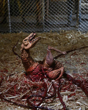 The Thing Ultimate Dog Creature Set (preorder Q4) - Collectables > Action Figures > toys -  Neca