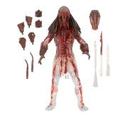 Prey Ultimate Feral Predator (Bear Blood) Action Figure - Collectables > Action Figures > toy -  Neca