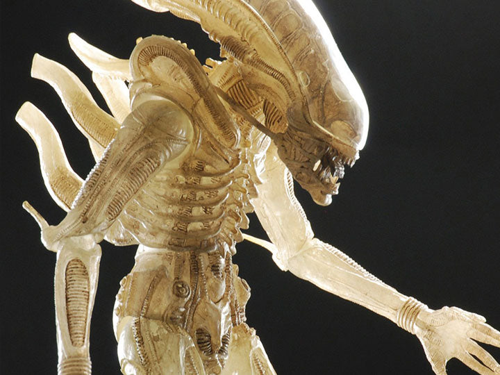Aliens 40th Anniversary 7 Inch Action Figure Series 1 - Big Chap Concept - Collectables > Action Figures > toys -  Neca