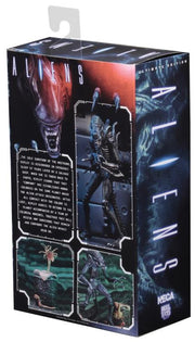 Neca - Aliens Ultimate Warrior - Collectables > Action Figures > toys -  Neca