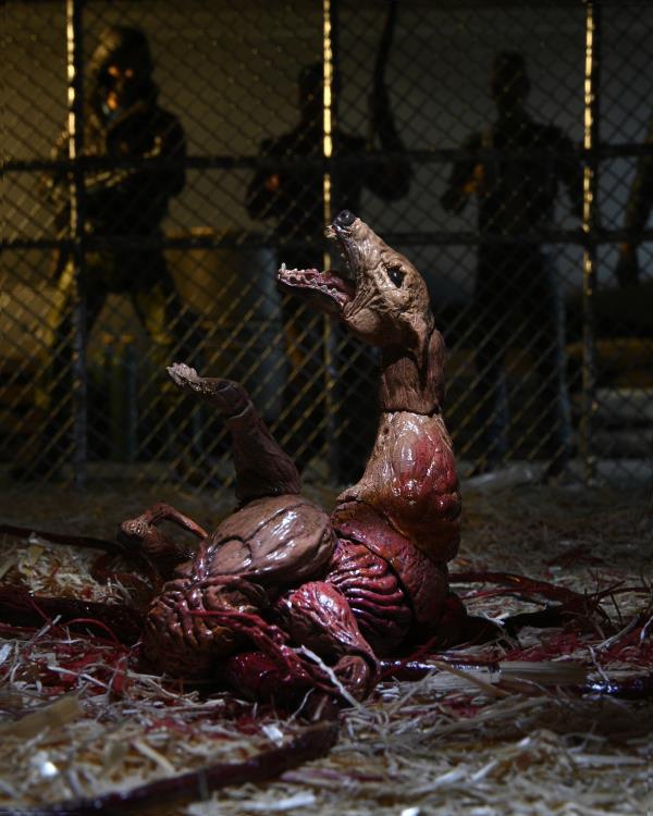 The Thing Ultimate Dog Creature Set (preorder Q4) - Collectables > Action Figures > toys -  Neca