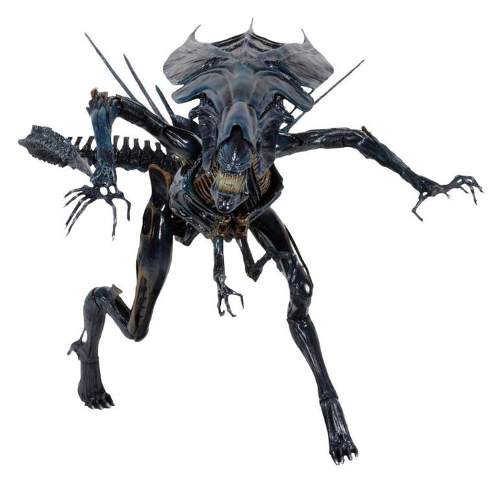 Aliens Xenomorph Queen Deluxe Action Figure (preorder Q4) - Collectables > Action Figures > toys -  Neca
