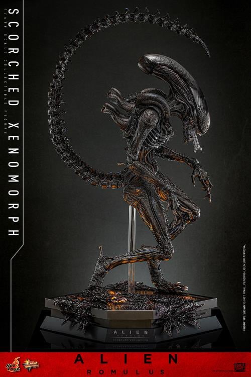 Alien: Romulus MMS784 Scorched Xenomorph 1/6th Scale Collectible Figure (preorder March 2026 ) - Collectables > Action Figures > toys -  Hot Toys