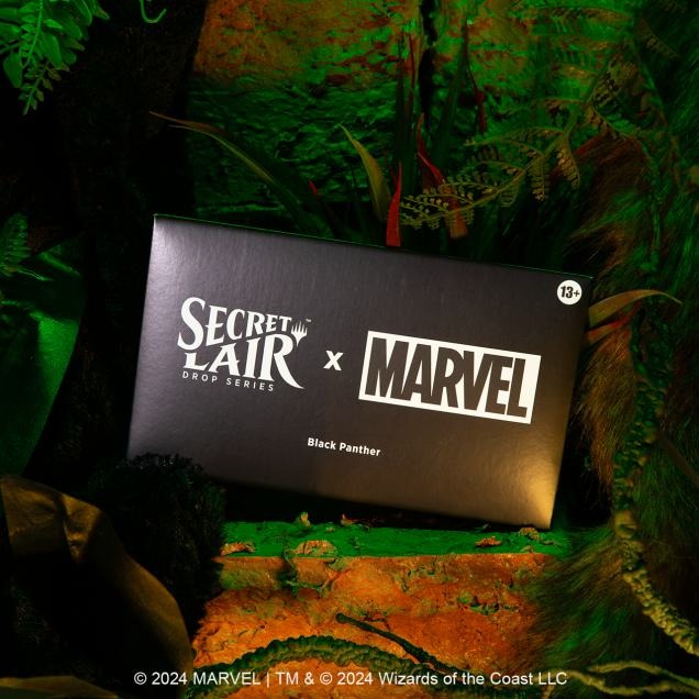 Secret Lair Drop Series - Secret Lair x Marvel's Black Panther - Card Games > Collectables > TCG > CCG -  wizards of the coast
