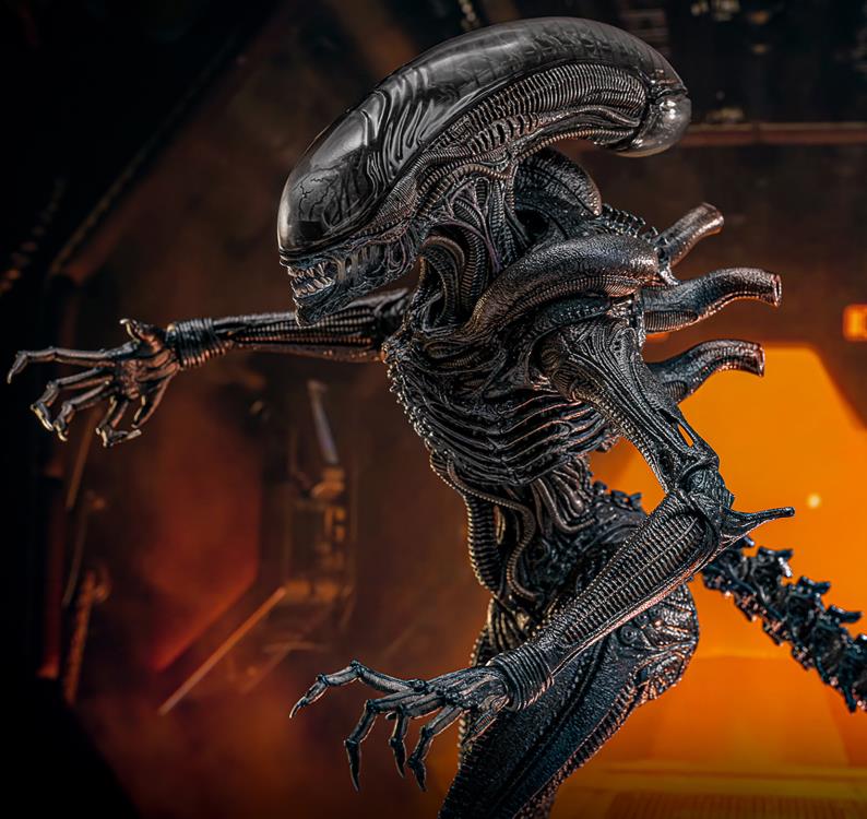 Alien: Romulus MMS784 Scorched Xenomorph 1/6th Scale Collectible Figure (preorder March 2026 ) - Collectables > Action Figures > toys -  Hot Toys