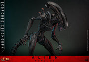 Alien: Romulus MMS784 Scorched Xenomorph 1/6th Scale Collectible Figure (preorder March 2026 ) - Collectables > Action Figures > toys -  Hot Toys