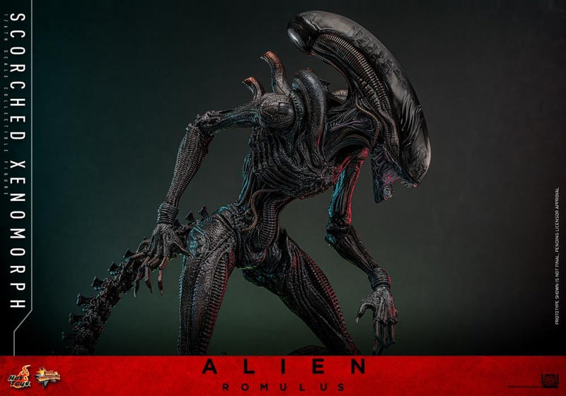 Alien: Romulus MMS784 Scorched Xenomorph 1/6th Scale Collectible Figure (preorder March 2026 ) - Collectables > Action Figures > toys -  Hot Toys