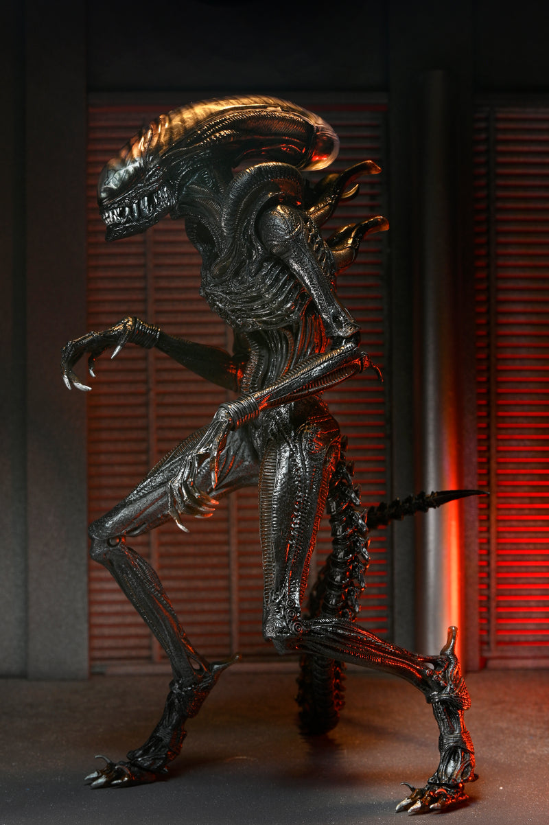 Alien: Romulus - 7" Scale Action Figure - Ultimate Scorched Xenomorph - Collectables > Action Figures > toys -  Neca