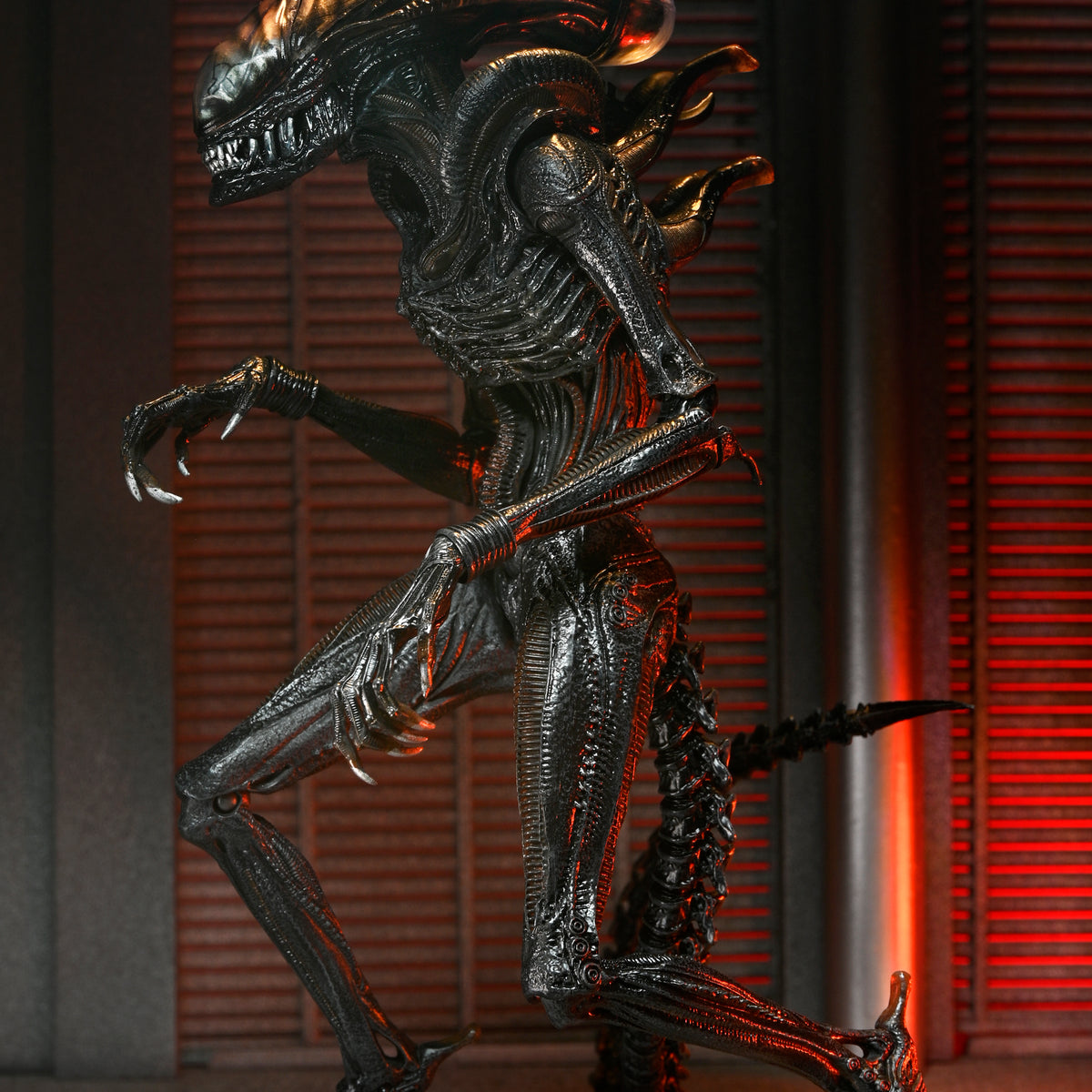 SF・ファンタジー・ホラー NECA Alien: Romulus Scorched Xenomorph NECA Alien: Romulus Ultimate Scorched Xenomorph 7-Inch Scale