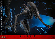 Alien: Romulus MMS784 Scorched Xenomorph 1/6th Scale Collectible Figure (preorder March 2026 ) - Collectables > Action Figures > toys -  Hot Toys