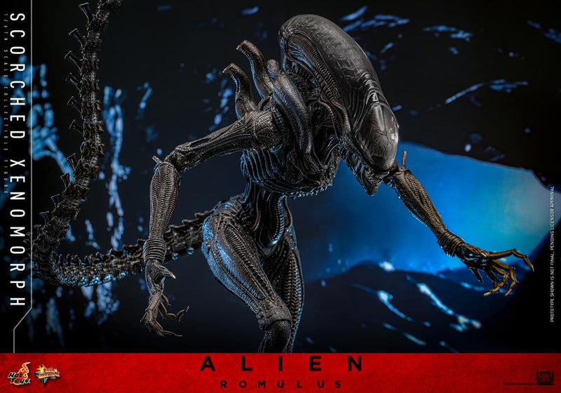 Alien: Romulus MMS784 Scorched Xenomorph 1/6th Scale Collectible Figure (preorder March 2026 ) - Collectables > Action Figures > toys -  Hot Toys