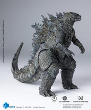 Hiya - Godzilla vs. Kong Godzilla - Updated Ver. - Action Figure (preorder) -  -  HIYA TOYS