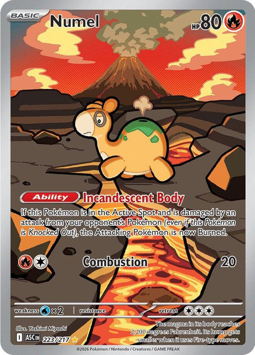 Numel - 223/217