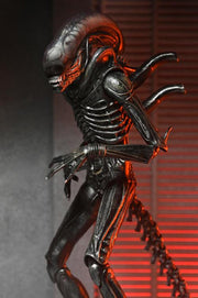Alien: Romulus Ultimate Xenomorph XX121 ( Preorder Q4 2025) - Collectables > Action Figures > toys -  Neca