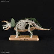 Planosaurus Triceratops Model Kit - Model Kit > Collectable > Gunpla > Hobby -  Bandai