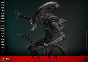 Alien: Romulus MMS784 Scorched Xenomorph 1/6th Scale Collectible Figure (preorder March 2026 ) - Collectables > Action Figures > toys -  Hot Toys