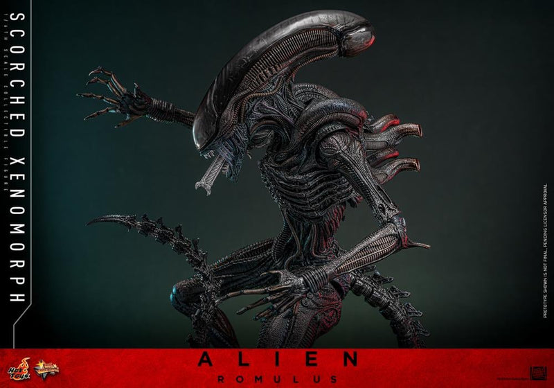 Alien: Romulus MMS784 Scorched Xenomorph 1/6th Scale Collectible Figure (preorder March 2026 ) - Collectables > Action Figures > toys -  Hot Toys
