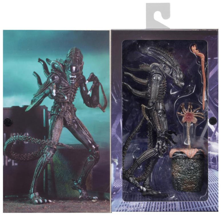 Neca - Aliens Ultimate Warrior - Collectables > Action Figures > toys -  Neca
