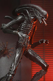 Alien: Romulus Ultimate Xenomorph XX121 ( Preorder Q4 2025) - Collectables > Action Figures > toys -  Neca