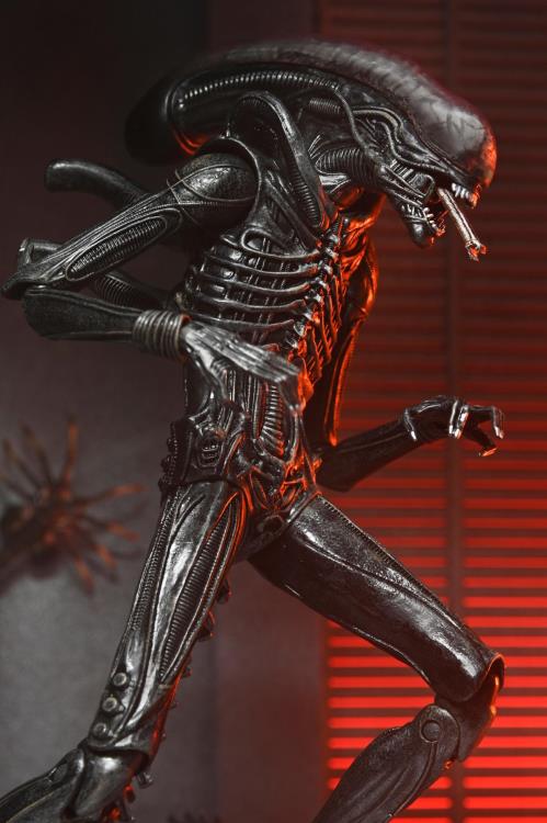 Alien: Romulus Ultimate Xenomorph XX121 ( Preorder Q4 2025) - Collectables > Action Figures > toys -  Neca