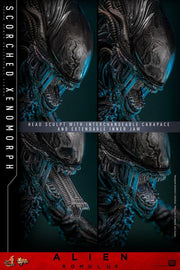 Alien: Romulus MMS784 Scorched Xenomorph 1/6th Scale Collectible Figure (preorder March 2026 ) - Collectables > Action Figures > toys -  Hot Toys