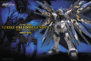 PG Strike Freedom Gundam - Model Kit > Collectable > Gunpla > Hobby -  bandai