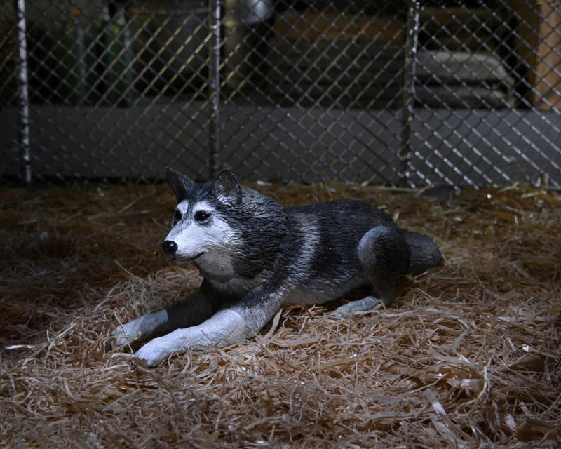 The Thing Ultimate Dog Creature Set (preorder Q4) - Collectables > Action Figures > toys -  Neca