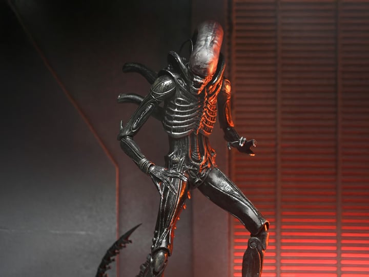 Alien: Romulus Ultimate Xenomorph XX121 ( Preorder Q4 2025) - Collectables > Action Figures > toys -  Neca