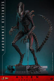 Alien: Romulus MMS784 Scorched Xenomorph 1/6th Scale Collectible Figure (preorder March 2026 ) - Collectables > Action Figures > toys -  Hot Toys