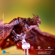 HIYA Exquisite Basic -  GODZILLA: KING OF THE MONSTERS - Rodan (preorder Q4) - Collectables > Action Figures > toys -  HIYA TOYS