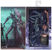 Neca - Aliens Ultimate Warrior - Collectables > Action Figures > toys -  Neca