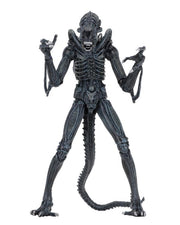 Neca - Aliens Ultimate Warrior - Collectables > Action Figures > toys -  Neca