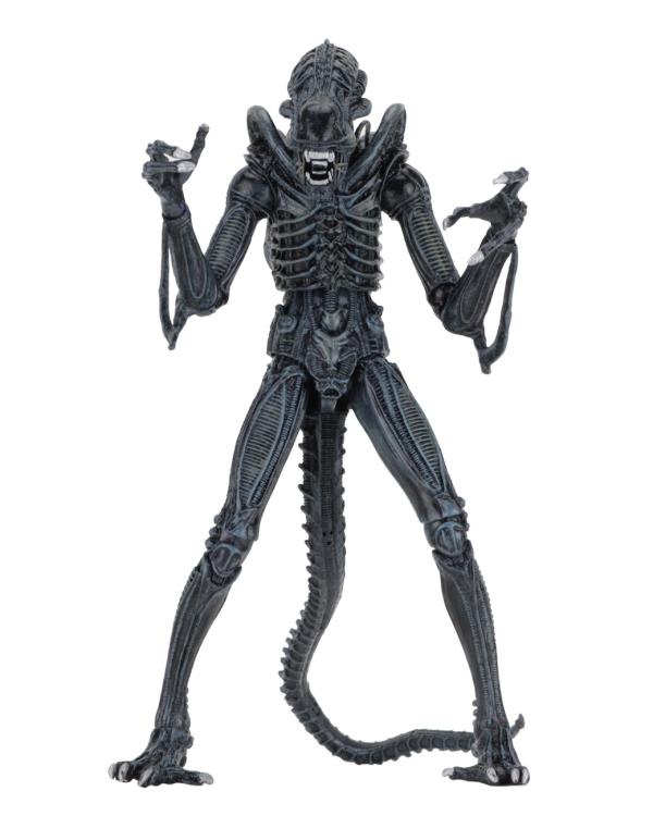 Neca - Aliens Ultimate Warrior - Collectables > Action Figures > toys -  Neca