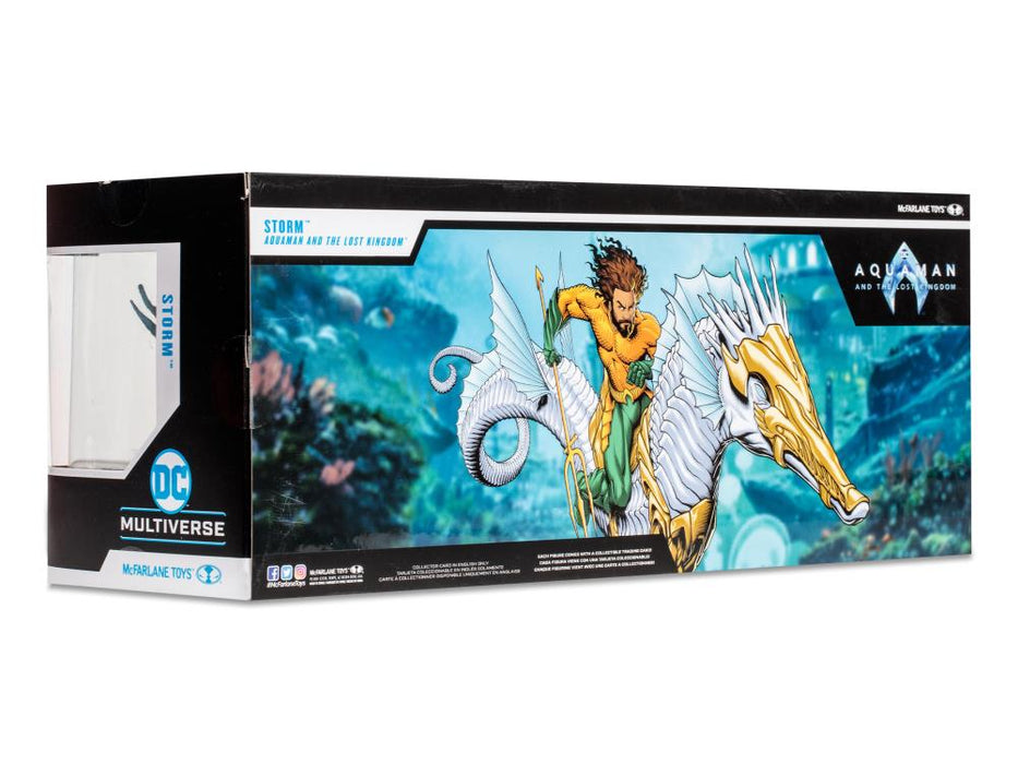 Aquaman and the Lost Kingdom DC Multiverse Storm Action figure (preorder) - Collectables > Action Figures > toys -  McFarlane Toys