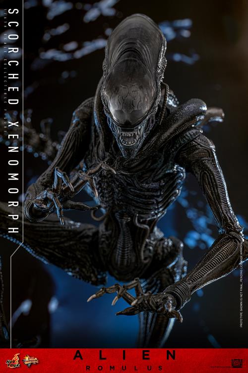 Alien: Romulus MMS784 Scorched Xenomorph 1/6th Scale Collectible Figure (preorder March 2026 ) - Collectables > Action Figures > toys -  Hot Toys