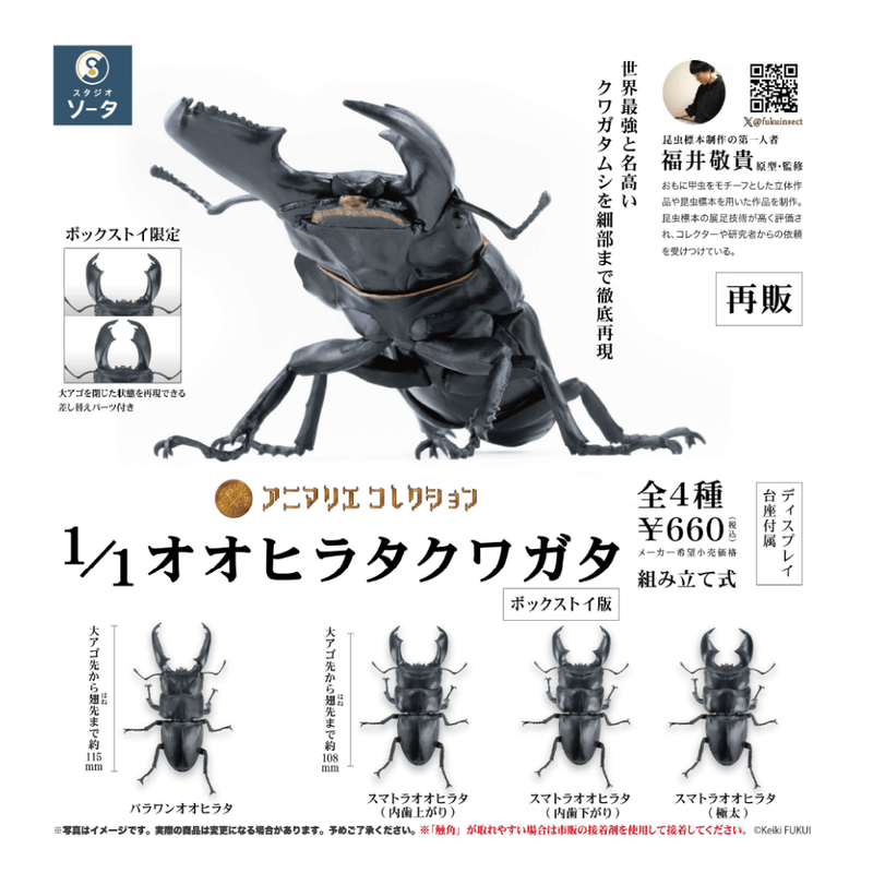 Animarie Collection - 1/1 Giant Flat Stag Beetle (Blind Box)