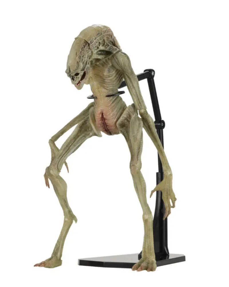 Alien Resurrection - Neca - Deluxe Newborn Action Figure