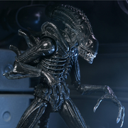 Aliens - 40th Anniversary Ultimate Warrior Xenomorph Action Figure (Preorder Sep 2026) - Collectables > Action Figures > toys -  Neca