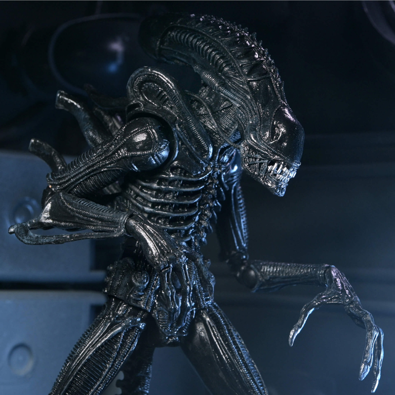 Aliens - 40th Anniversary Ultimate Warrior Xenomorph Action Figure (Preorder Sep 2026) - Collectables > Action Figures > toys -  Neca