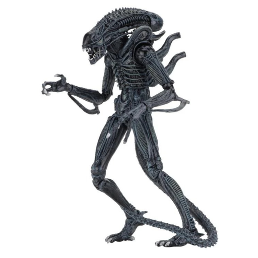 Aliens - Ultimate Warrior (Blue) Action Figure (Preorder Sep 2026) - Collectables > Action Figures > toys -  Neca