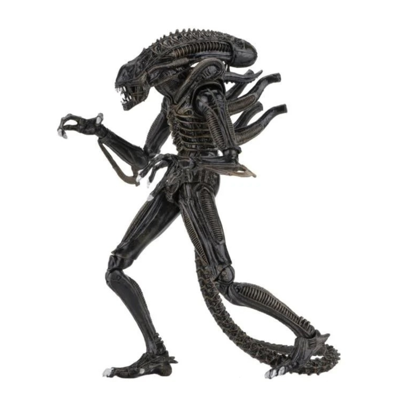 Aliens - Ultimate Warrior (Brown) Action Figure (Preorder Sep 2026) - Collectables > Action Figures > toys -  Neca