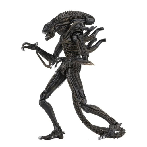 Aliens - Ultimate Warrior (Brown) Action Figure (Preorder Sep 2026) - Collectables > Action Figures > toys -  Neca