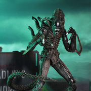 Aliens - Ultimate Warrior (Brown) Action Figure (Preorder Sep 2026) - Collectables > Action Figures > toys -  Neca